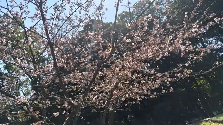 近江神宮(滋賀県)