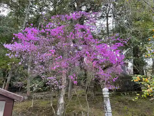 石山寺(滋賀県)