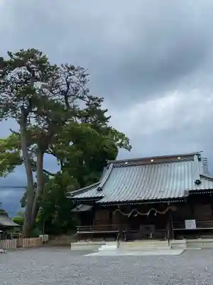 焼津神社の本殿・本堂