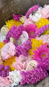 岡部春日神社~👹鬼門よけの🌺花咲く🌺やしろ~(福島県)(2024年04月04日(木) 18時13分24秒投稿)