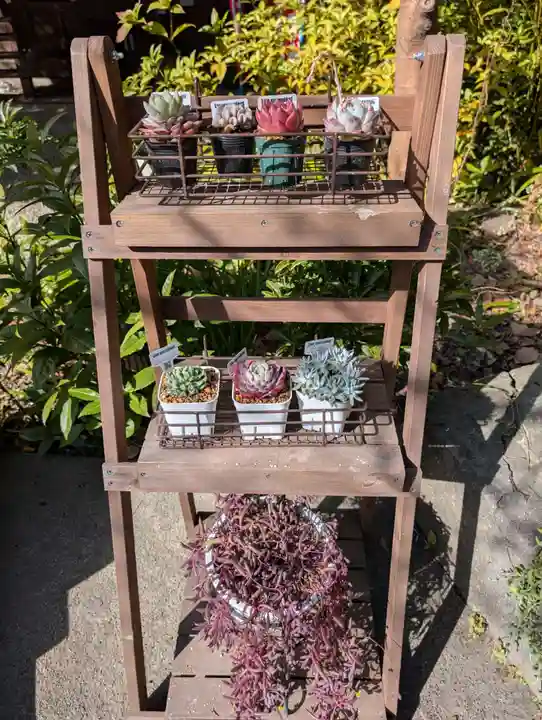 大綱金刀比羅神社(神奈川県)
