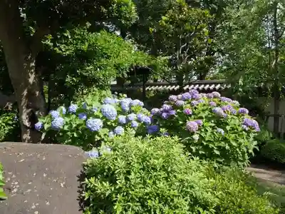 松月院のその他建物