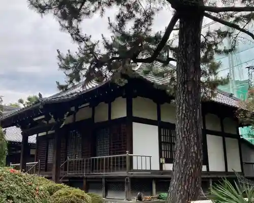 建中寺の本殿・本堂