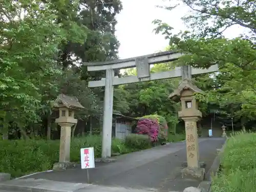 平濱八幡宮の鳥居