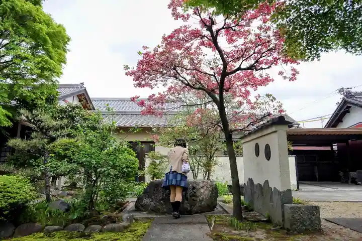 聖寿院の手水舎
