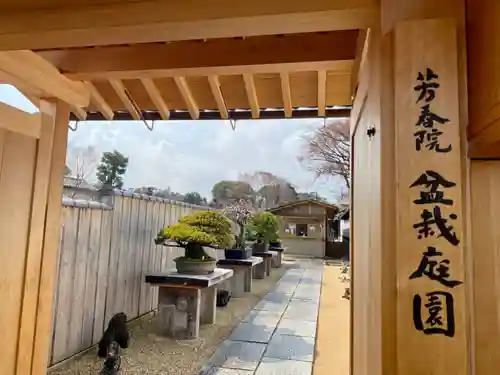 芳春院の山門・神門