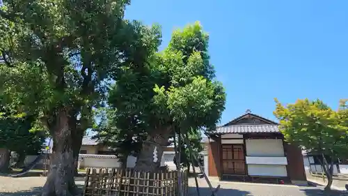 下桂御霊神社(京都府)