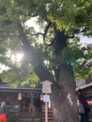 晴明神社の{uncategorized: "未分類", other: "その他", undefined: "問題あり", building: "その他建物", grave: "お墓", sacred_gate: "鳥居", guardian: "狛犬", statue: "像", buddha: "仏像", history: "歴史", nature: "自然", garden: "庭園", animal: "動物", pagoda: "塔", temizu: "手水舎", mountain_gate: "山門・神門", sanctuary: "本殿・本堂", subordinate: "末社・摂社", art: "芸術", scenery: "景色", jizo: "地蔵", ema: "絵馬", goshuin: "御朱印", omikuji: "おみくじ", items: "授与品その他", amulet: "お守り", goshuincho: "御朱印帳", eats: "食事", festival: "お祭り", votive_dance: "神楽", shichigosan: "七五三参", wedding: "結婚式", experience: "体験その他", initially: "初詣", around: "周辺", anti_infection: "感染症対策"}