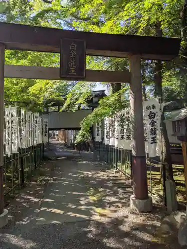 若宮神明社の鳥居