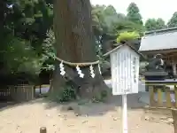 狭野神社(宮崎県)
