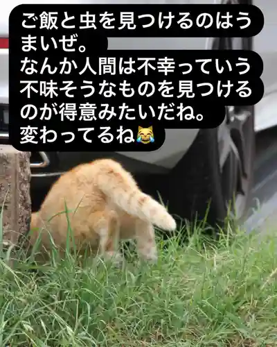 専念寺(大阪府)