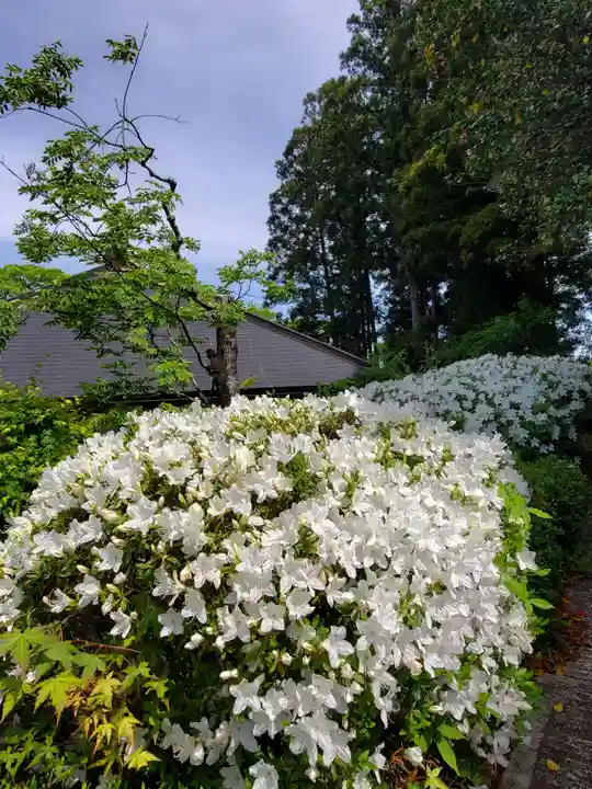 上合寺(福島県)