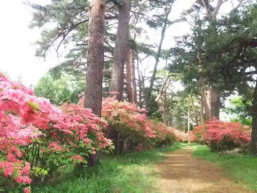 赤城神社(三夜沢町)のその他建物