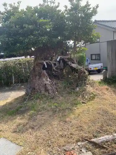 高徳院(千葉県)