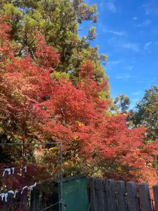 松尾寺(奈良県)