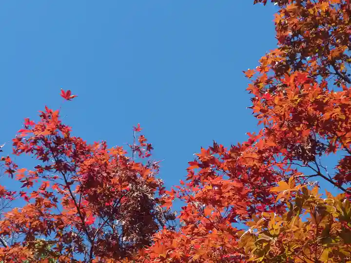 報徳二宮神社(神奈川県)