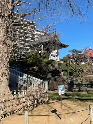 東福寺(東京都)