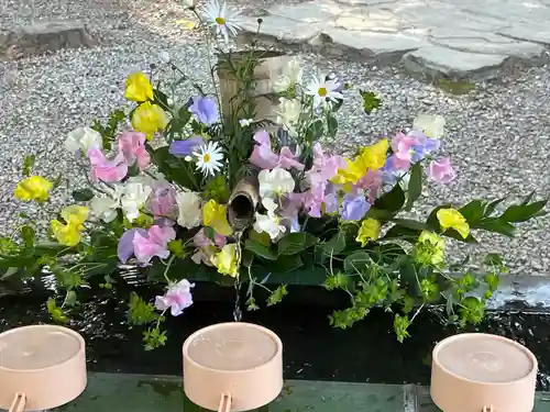 武蔵一宮氷川神社(埼玉県)