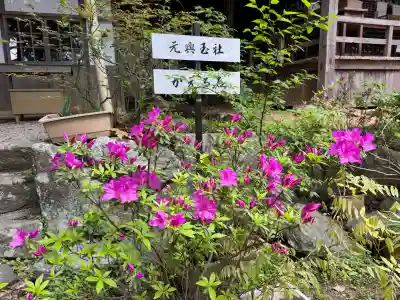太江寺の{uncategorized: "未分類", other: "その他", undefined: "問題あり", building: "その他建物", grave: "お墓", sacred_gate: "鳥居", guardian: "狛犬", statue: "像", buddha: "仏像", history: "歴史", nature: "自然", garden: "庭園", animal: "動物", pagoda: "塔", temizu: "手水舎", mountain_gate: "山門・神門", sanctuary: "本殿・本堂", subordinate: "末社・摂社", art: "芸術", scenery: "景色", jizo: "地蔵", ema: "絵馬", goshuin: "御朱印", omikuji: "おみくじ", items: "授与品その他", amulet: "お守り", goshuincho: "御朱印帳", eats: "食事", festival: "お祭り", votive_dance: "神楽", shichigosan: "七五三参", wedding: "結婚式", experience: "体験その他", initially: "初詣", around: "周辺", anti_infection: "感染症対策"}
