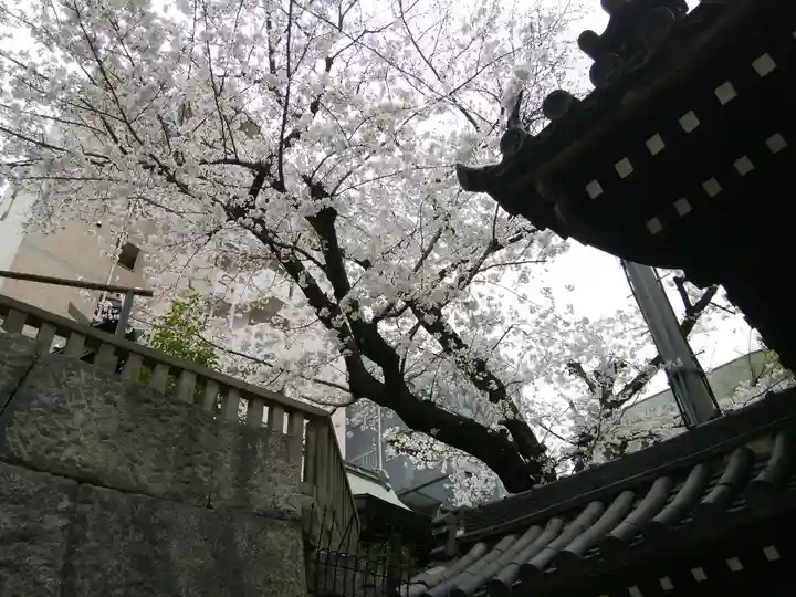 大阪天満宮の自然