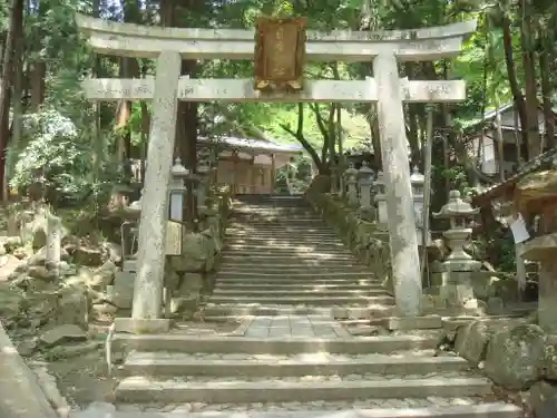 日吉神社の鳥居