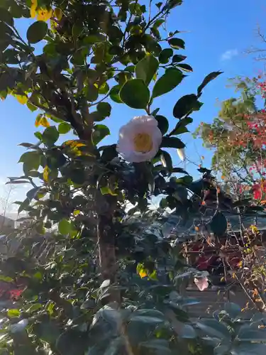 伊勢の国 四天王寺(三重県)