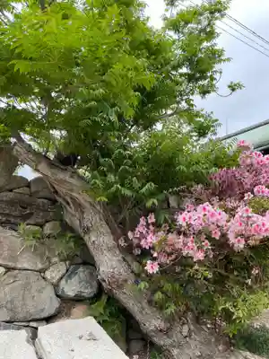 實相寺(兵庫県)