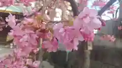 櫛田神社(福岡県)