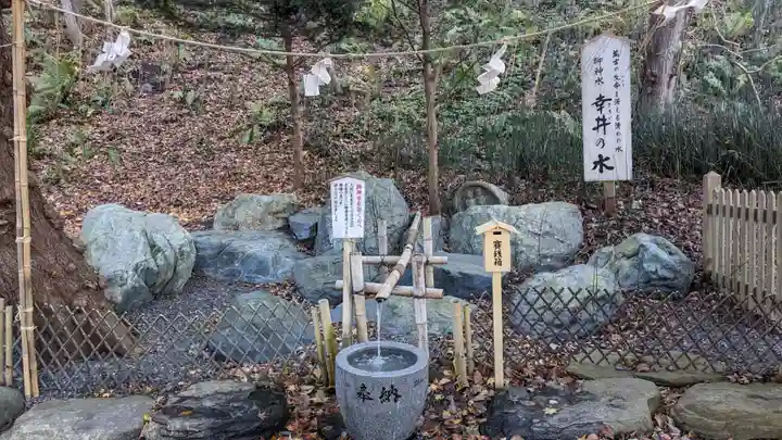 千歳神社の自然