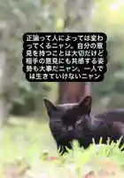 専念寺(大阪府)