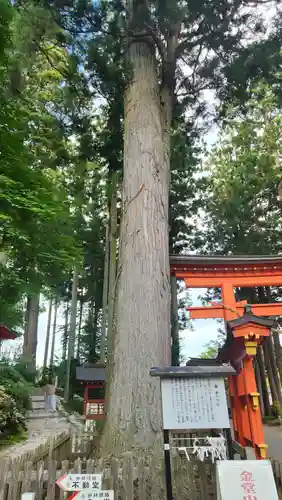 達谷西光寺(岩手県)