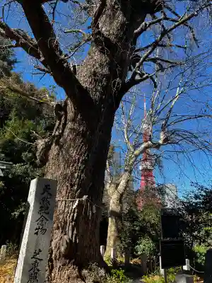 芝東照宮の{uncategorized: "未分類", other: "その他", undefined: "問題あり", building: "その他建物", grave: "お墓", sacred_gate: "鳥居", guardian: "狛犬", statue: "像", buddha: "仏像", history: "歴史", nature: "自然", garden: "庭園", animal: "動物", pagoda: "塔", temizu: "手水舎", mountain_gate: "山門・神門", sanctuary: "本殿・本堂", subordinate: "末社・摂社", art: "芸術", scenery: "景色", jizo: "地蔵", ema: "絵馬", goshuin: "御朱印", omikuji: "おみくじ", items: "授与品その他", amulet: "お守り", goshuincho: "御朱印帳", eats: "食事", festival: "お祭り", votive_dance: "神楽", shichigosan: "七五三参", wedding: "結婚式", experience: "体験その他", initially: "初詣", around: "周辺", anti_infection: "感染症対策"}