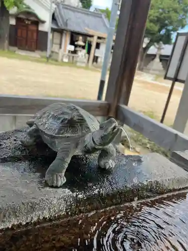 感田神社の手水