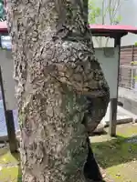 芳川神社(埼玉県)