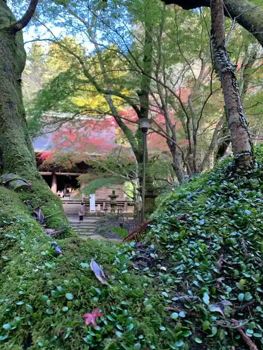 室生寺(奈良県)