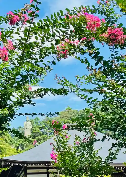 塩船観音寺(東京都)