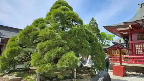 笠間稲荷神社の庭園