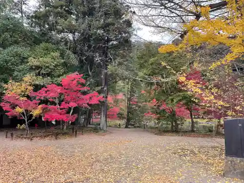 白水阿弥陀堂の庭園