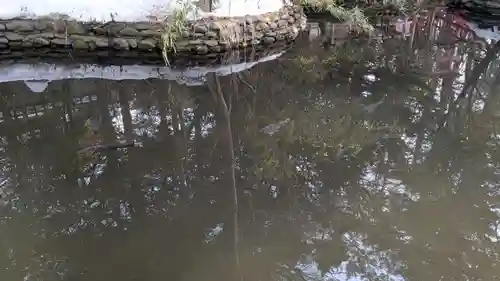 白石神社の庭園