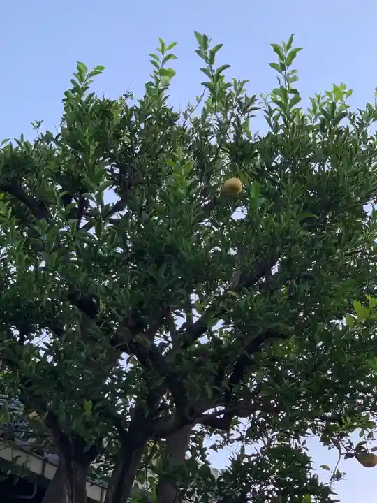 得浄寺(大阪府)