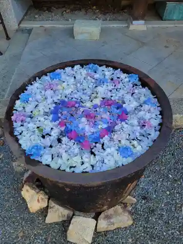 柳谷観音　楊谷寺(京都府)