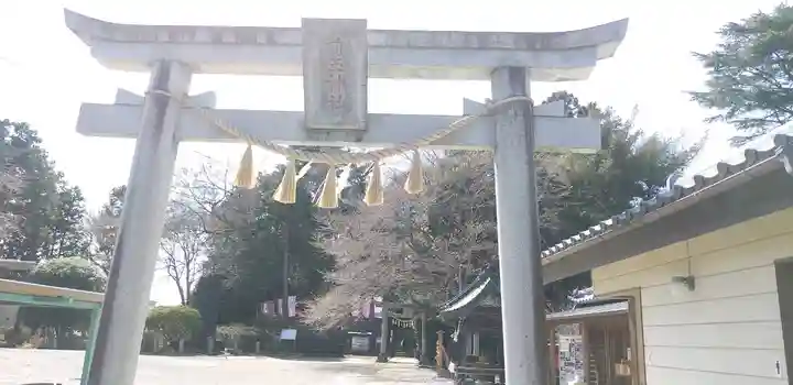 前玉神社(埼玉県)