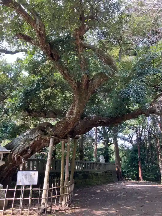 莫越山神社の{uncategorized: "未分類", other: "その他", undefined: "問題あり", building: "その他建物", grave: "お墓", sacred_gate: "鳥居", guardian: "狛犬", statue: "像", buddha: "仏像", history: "歴史", nature: "自然", garden: "庭園", animal: "動物", pagoda: "塔", temizu: "手水舎", mountain_gate: "山門・神門", sanctuary: "本殿・本堂", subordinate: "末社・摂社", art: "芸術", scenery: "景色", jizo: "地蔵", ema: "絵馬", goshuin: "御朱印", omikuji: "おみくじ", items: "授与品その他", amulet: "お守り", goshuincho: "御朱印帳", eats: "食事", festival: "お祭り", votive_dance: "神楽", shichigosan: "七五三参", wedding: "結婚式", experience: "体験その他", initially: "初詣", around: "周辺", anti_infection: "感染症対策"}