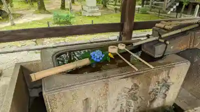 真正極楽寺(真如堂)の手水舎