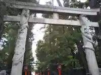 馬橋稲荷神社(東京都)