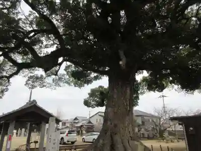 長尾寺(香川県)