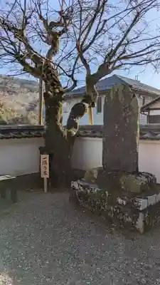 法楽寺(滋賀県)