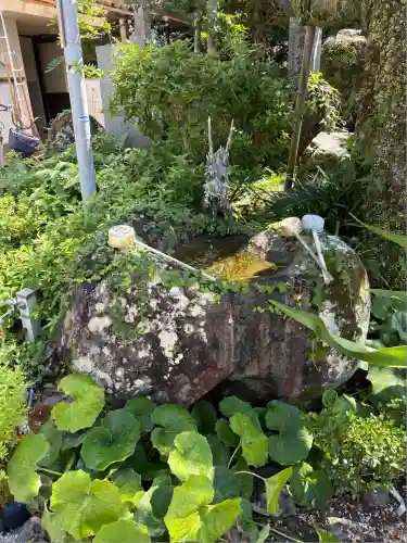 津照寺(高知県)