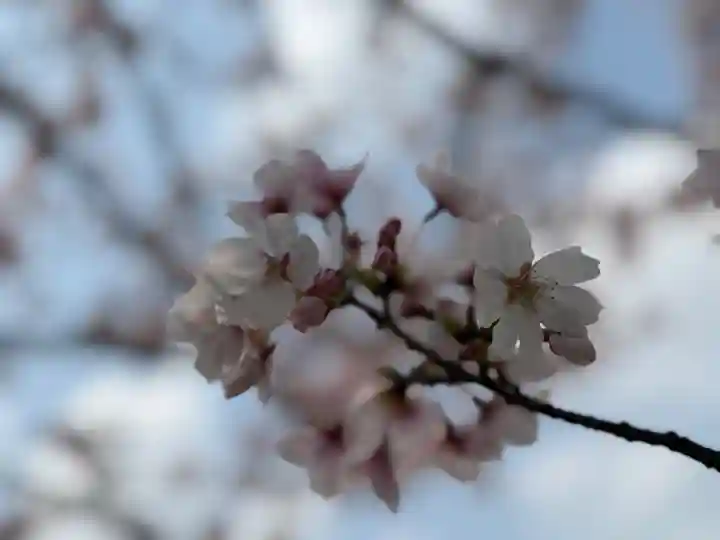 西方山極楽寺(岐阜県)