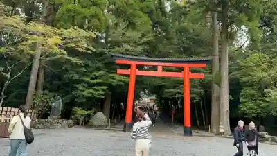 霧島神宮(鹿児島県)